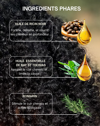 Pack Rituel Floraison - Huile Stimulante & Anti-casse + Masseur Lumière Rouge Cheveux Crépus - Oëyya