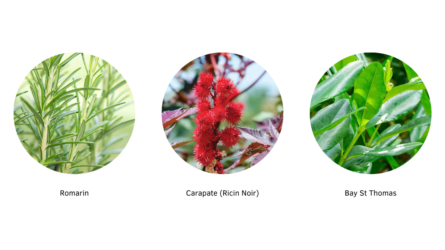 Élixir Floraison — Huile multi-usages Fortifiante & Activatrice de Pousse pour Cheveux Crépus 4A–4C | Oëyya