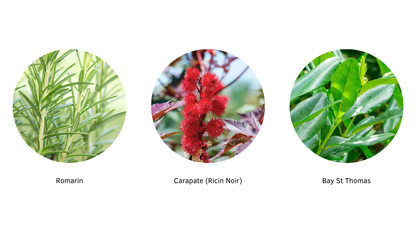 Élixir Floraison — Huile multi-usages Fortifiante & Activatrice de Pousse pour Cheveux Crépus 4A–4C | Oëyya
